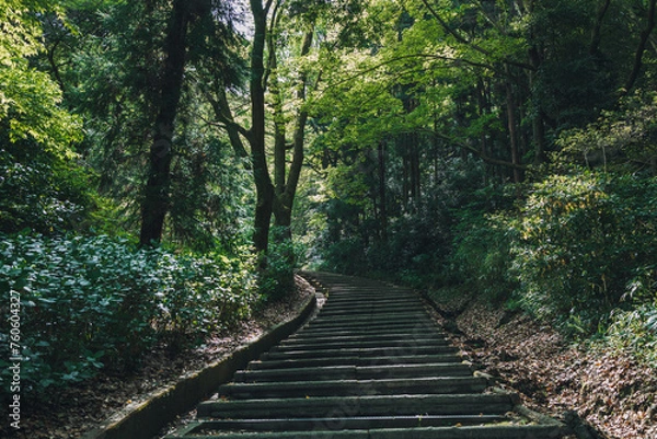Fototapeta 里山の登山道
