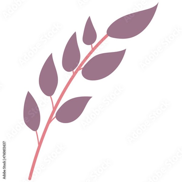 Fototapeta Leaf plant element for beautiful design. Simple form. Vector drawing.