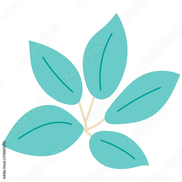 Fototapeta Leaf plant element for beautiful design. Simple form. Vector drawing.