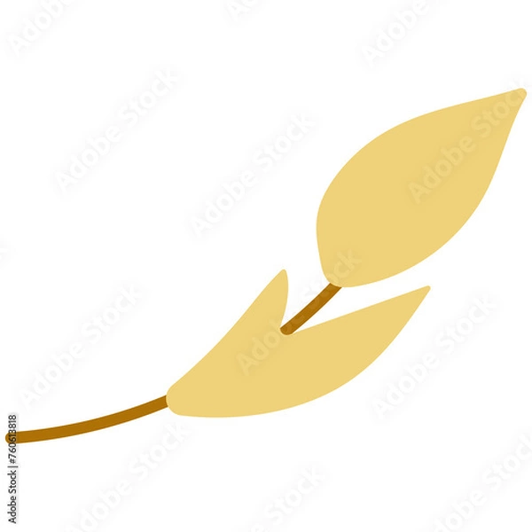 Fototapeta Leaf plant element for beautiful design. Simple form. Vector drawing.