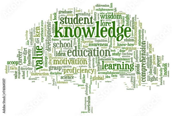 Fototapeta Conceptual image of tag cloud containing words related to knowle