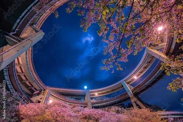 Obraz 河津ループ橋の桜