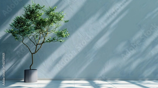 Obraz Decorative Indoor Tree Casting Soft Shadows on a Textured Wall