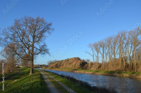 Obraz path and tree on river bank