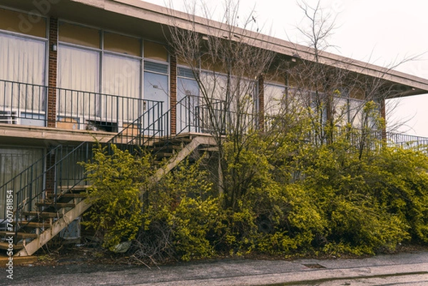 Fototapeta abandoned motel with overgrown trees