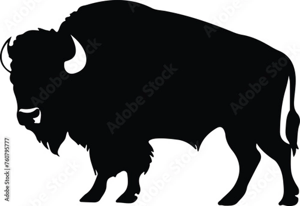 Fototapeta bison silhouette