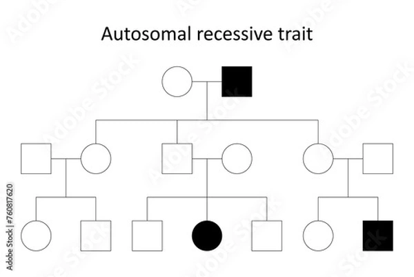 Obraz Pedigree. Autosomal recessive trait.