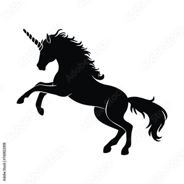 Obraz Unicorn Silhouette