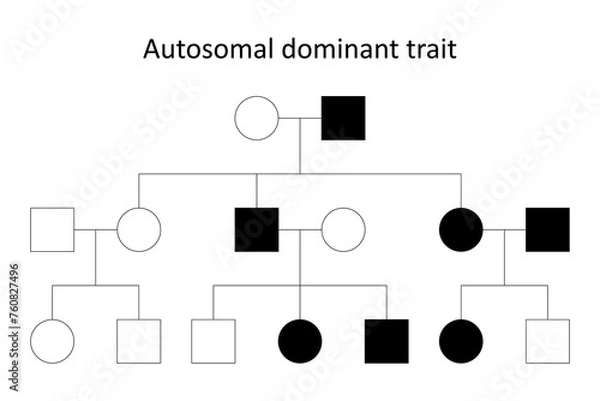 Obraz Pedigree. Autosomal dominant trait.
