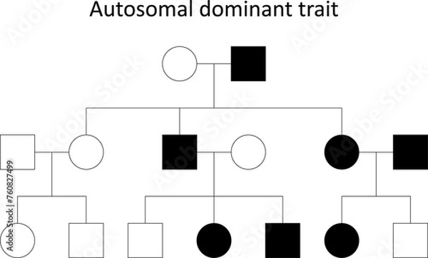 Obraz Pedigree. Autosomal dominant trait.
