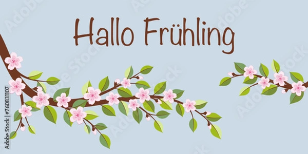 Fototapeta Hallo Frühling - Schriftzug in deutscher Sprache. Grußkarte mit Kirschblütenzweigen.