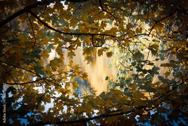 Fototapeta Herbstsonne
