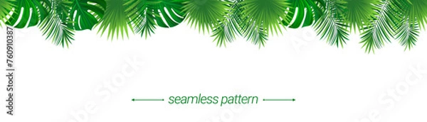 Fototapeta Amazon rainforest tropical leaves seamless pattern. Summer background vector illustration. Tropic foliage template border frame. Jungle plant repeat banner. Green backdrop with lush coconut palm leaf