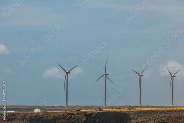 Fototapeta Sight of wind turbines in the desert along the Caribbean coast under a blue sky on Aruba Island.