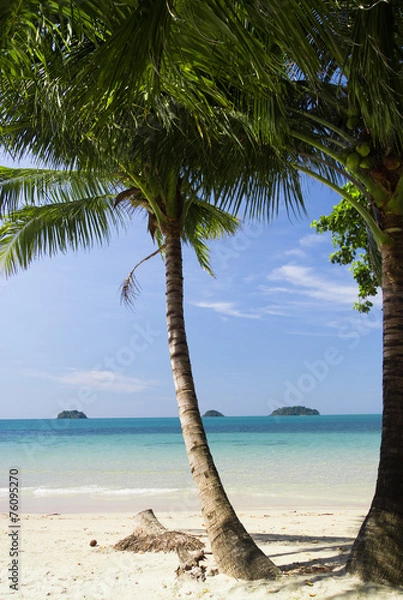 Obraz Palm View Coconut Coast