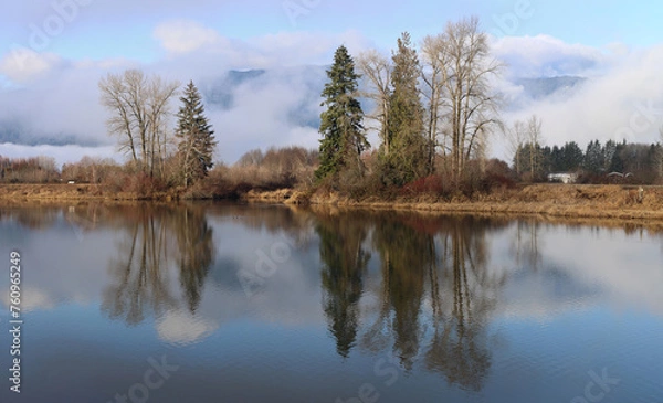 Fototapeta Reflections of trees on a cloudy winter morning