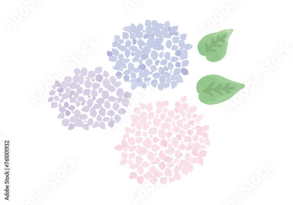 Obraz 水彩風の3色の紫陽花のイラスト