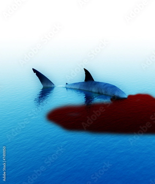 Fototapeta Shark With Blood 3