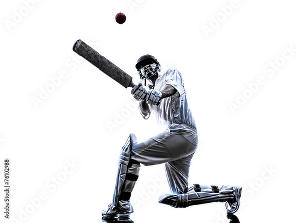 Fototapeta BATSMAN SILHOUETT