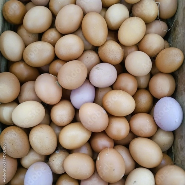 Obraz eggs on the market
