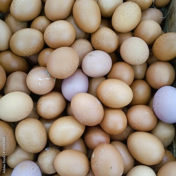 Obraz eggs in a basket