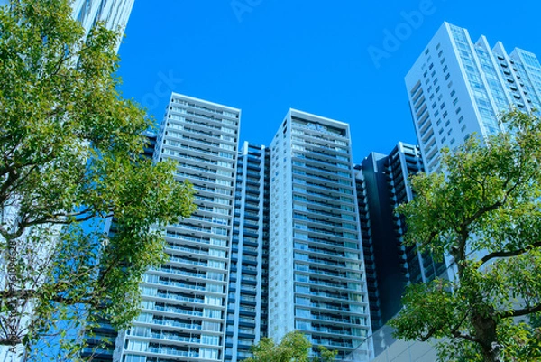 Fototapeta 高層マンション　緑の木