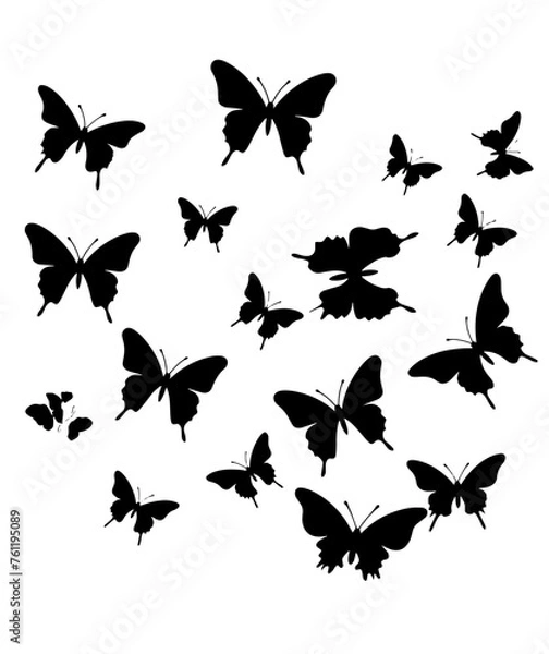 Obraz set of butterflies silhouettes