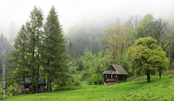 Obraz mglisty poranek w Pieninach