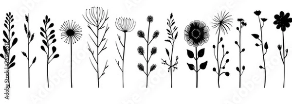 Obraz grass and flowers vector