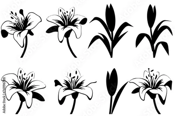 Obraz set of black and white flowers