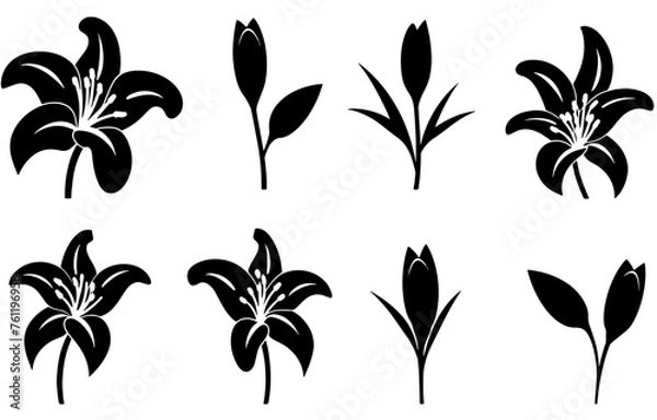 Obraz set of silhouettes of plants