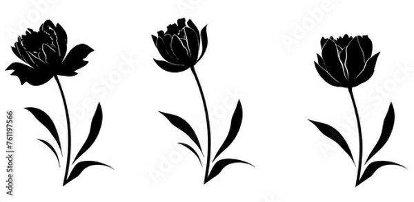 Obraz silhouette of a flower