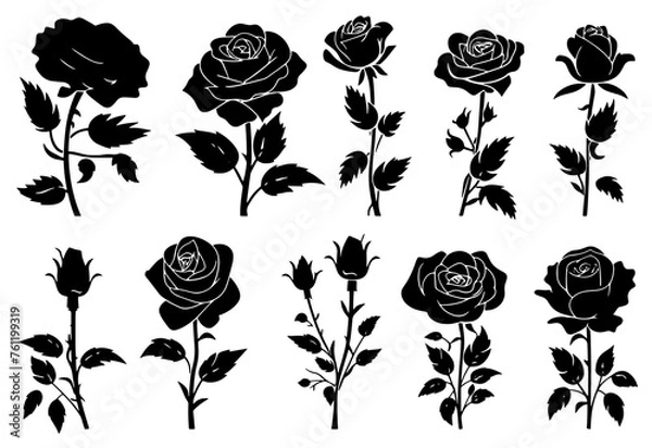 Obraz set of poppies