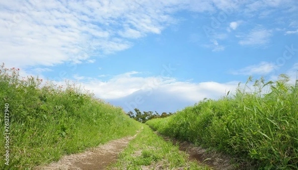 Fototapeta 地元、田舎道、ふるさと、田舎