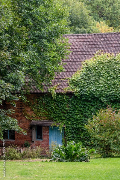 Fototapeta old brick wall