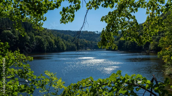 Fototapeta lake in the forest