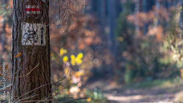 Fototapeta Bicycle route