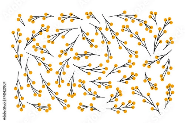 Fototapeta Vector floral elements set. Mimosa blossoms various shapes flat illustration. Collection of simple tree branches with yellow round shape flowers. Botanical vector objects as graphic resources.