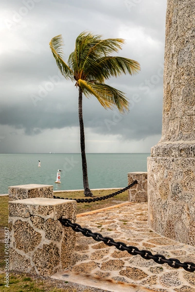 Obraz A palm tree near a lighthouse base blows in the wind on Boca Chita Island, Florida in Biscayne Bay
