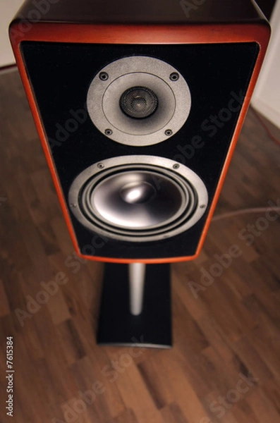 Fototapeta Speaker