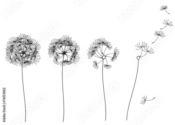 Obraz Vector abstract dandelions.