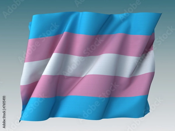 Obraz Transgender Flag