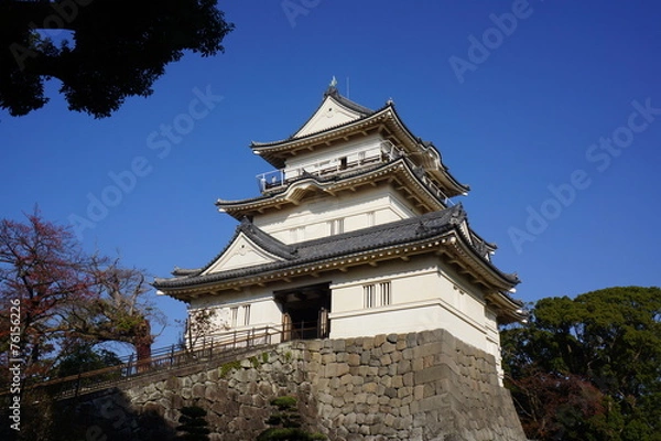 Fototapeta 小田原城