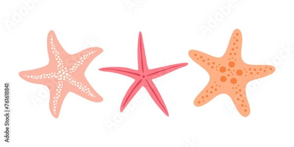 Fototapeta Set with starfish isolated on white background. Hand drawn in minimalistic style.