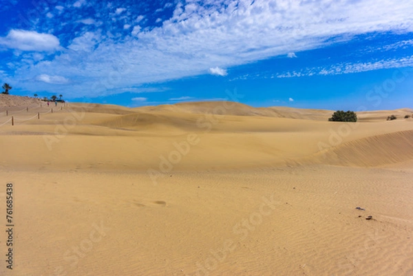 Fototapeta Dunes and Coastline of Maspalomas on Gran Canary Island