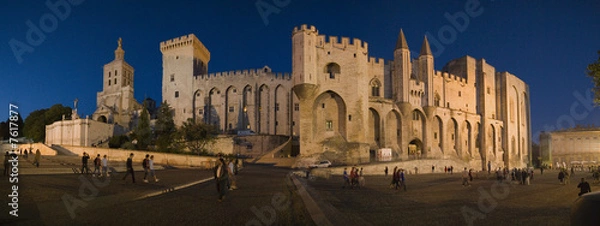 Obraz nocna panorama awinionu