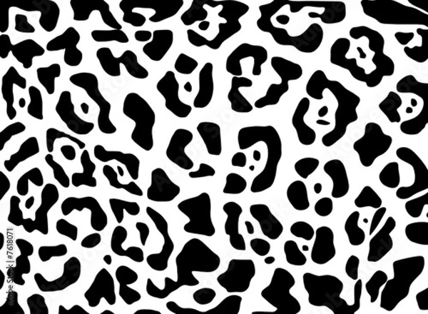 Fototapeta Vector - jaguar texture Black and White