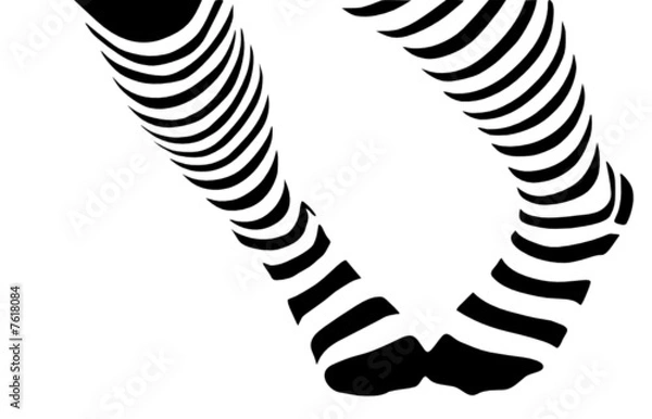 Fototapeta vector - legs in stripped socks