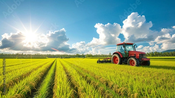 Obraz tractor in landscape rice field agriculture