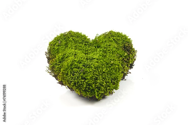 Obraz Healthy concept